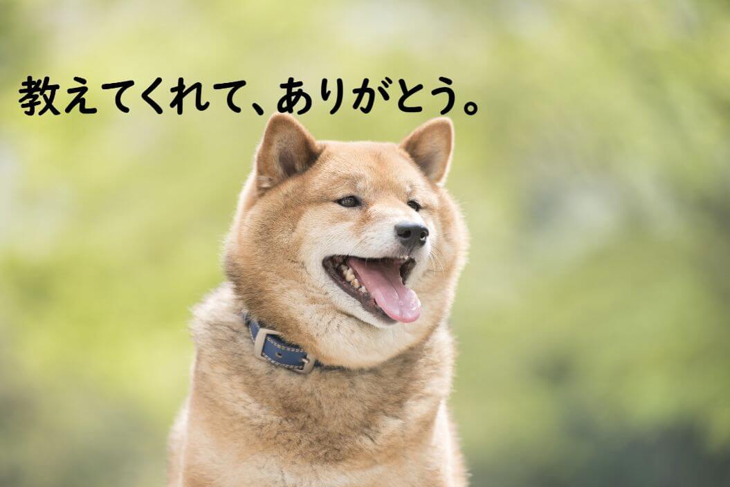 柴犬　わらう