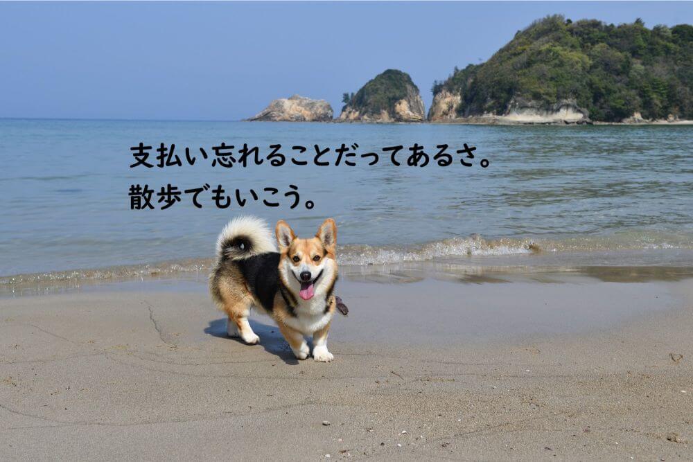 犬と海　砂浜