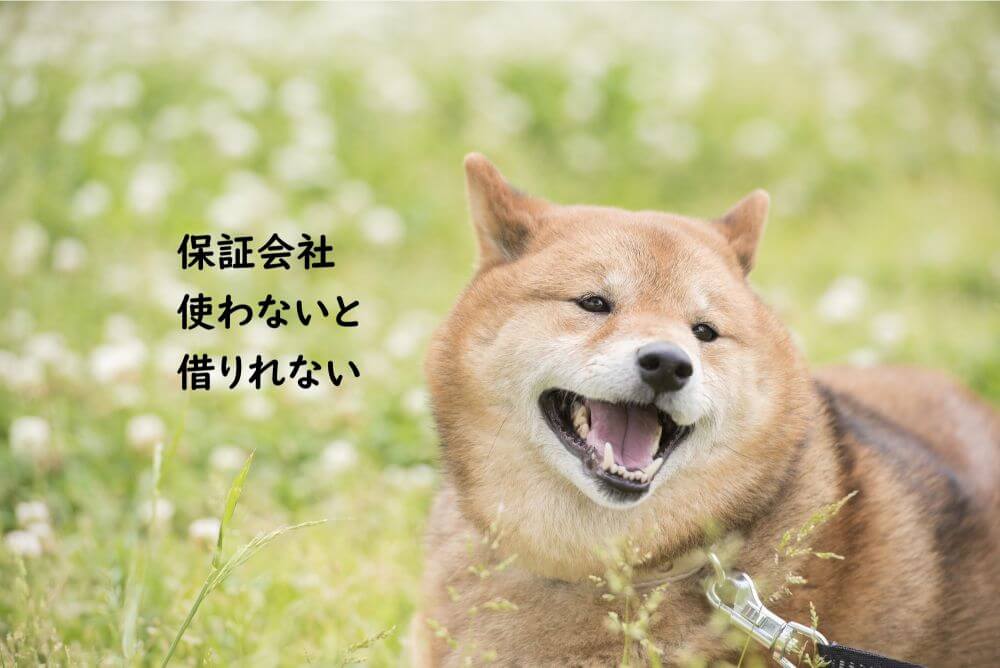 笑う犬