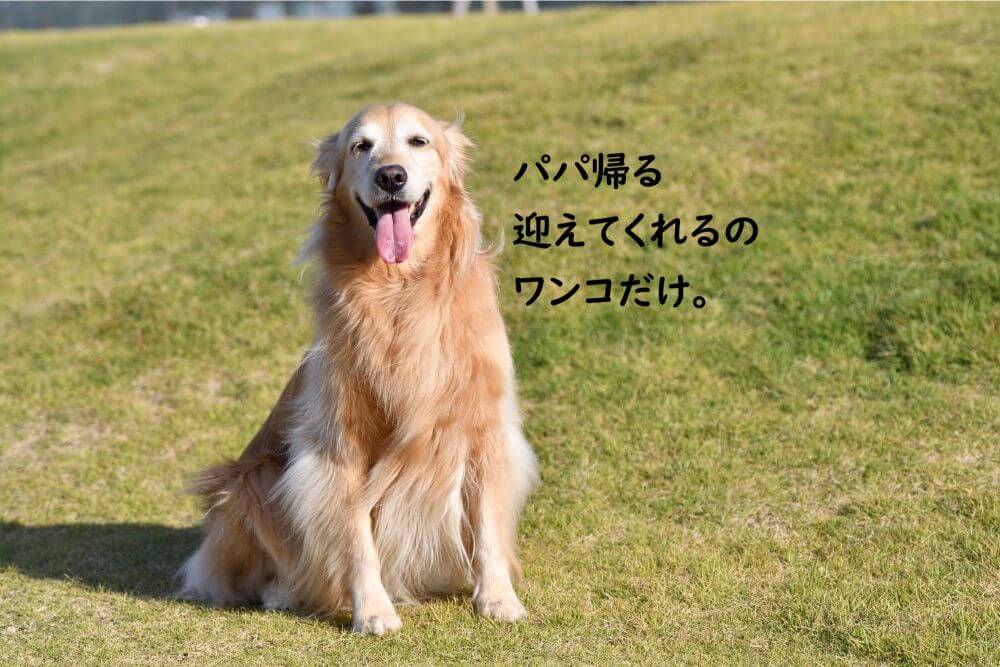 笑うワンコ　大型犬