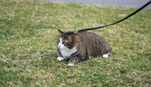 ろうきん(中央労金)の住宅ローン。評判がアレな理由【裏技アリ】