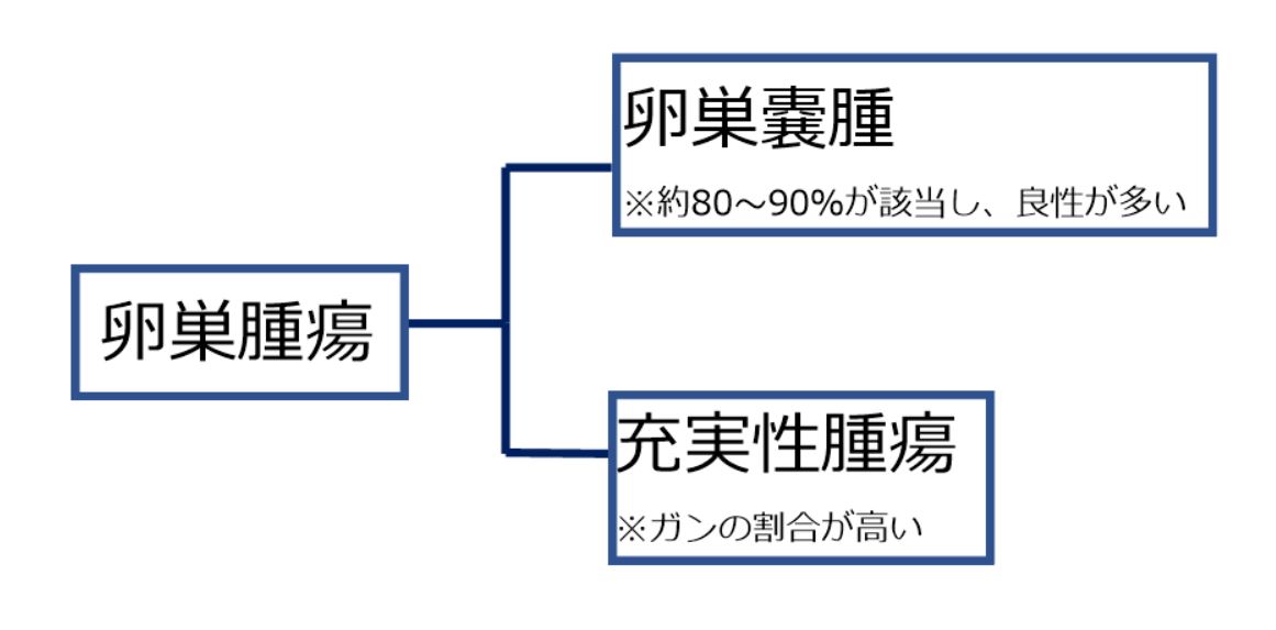 卵巣腫瘍　卵巣嚢腫