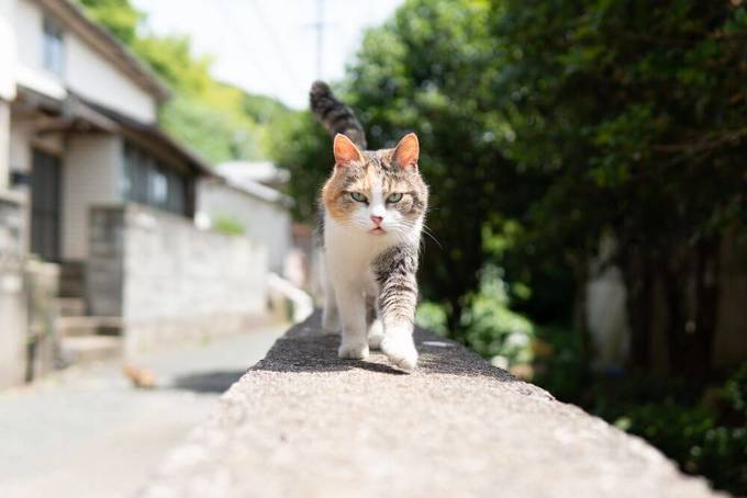 あなたは市街化調整区域にコンビニがある理由を知っていますか？どうして大きな道路沿いにばかり建っているかの答えとは。